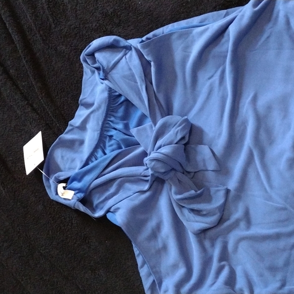 Jenny Boston XL Colbalt Blue Tank - Picture 2 of 3